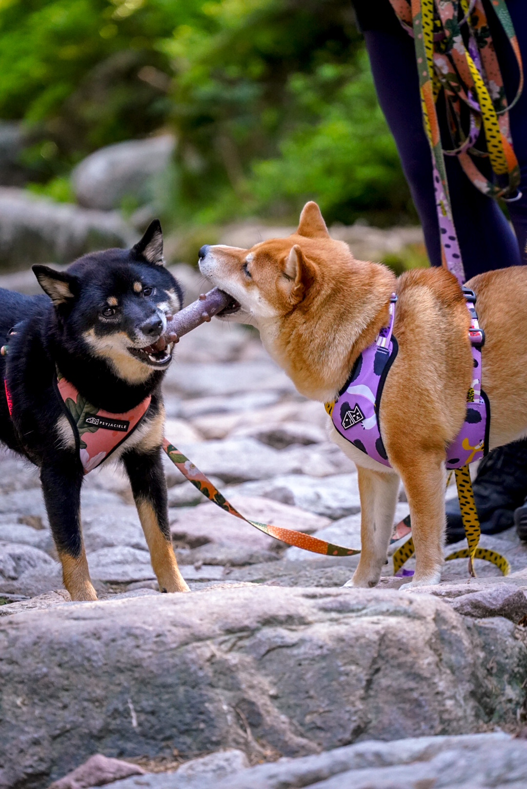 Ecomfy Woody - ekstremalne testy produktu